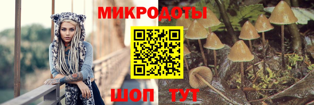 Псилоцибиновые грибы Psilocybe  Вход с VPN  Галлюциногенные грибы GOLDEN TEACHER  Зеленодольск 